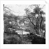 Cornaa Mill, Isle of Man by George Bellett Cowen
